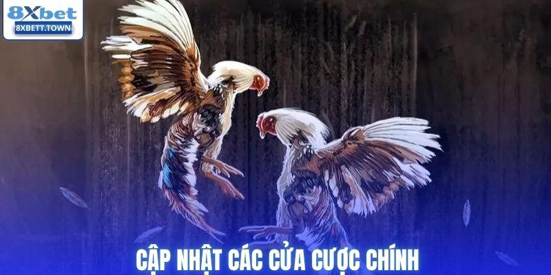 Cập nhật các cửa cược chính