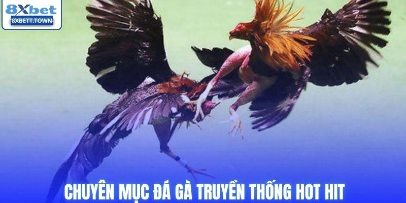 Chuyên mục đá gà truyền thống hot hit