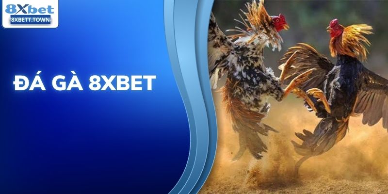 Đá Gà 8XBET: Trải Nghiệm Chọi Kê Online Đầy Kịch Tính