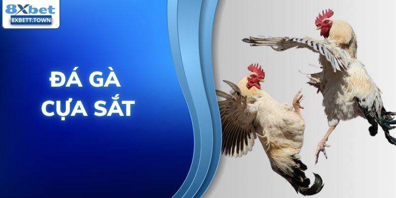 Đá gà cựa sắt
