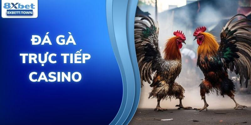 Đá gà trực tiếp casino