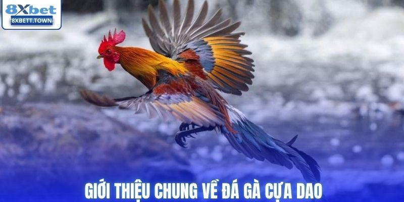 giới thiệu chung về đá gà cựa dao