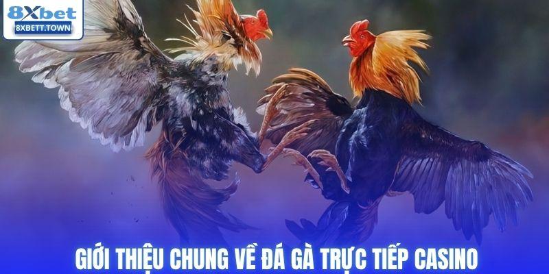 Giới thiệu chung về đá gà trực tiếp casino