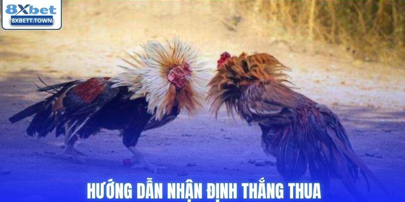 Hướng dẫn nhận định thắng thua