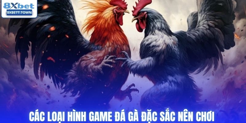Các loại hình game đá gà đặc sắc nên chơi