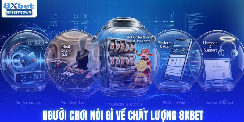 Người chơi nói gì về chất lượng 8XBET