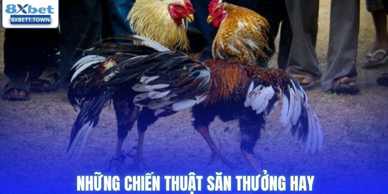 Những chiến thuật săn thưởng hay