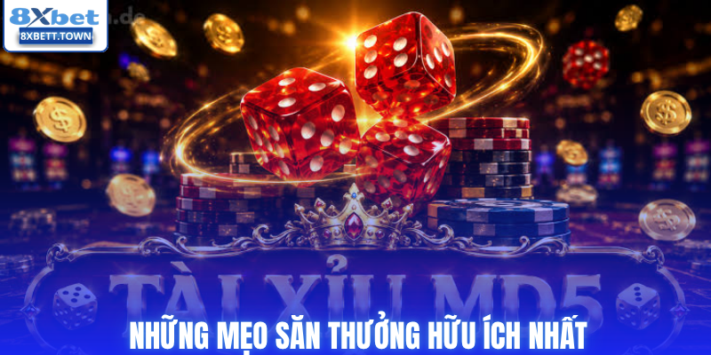 Những mẹo săn thưởng hữu ích nhất
