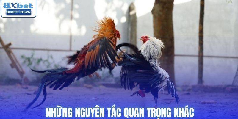 Những nguyên tắc quan trọng khác