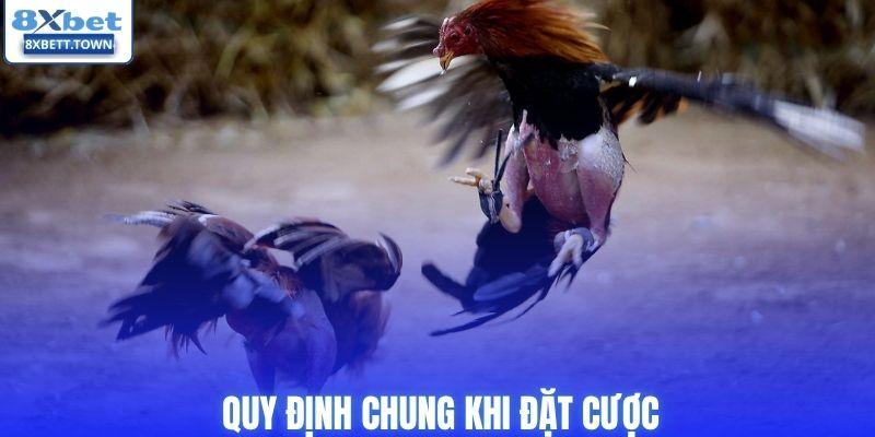 Quy định chung khi đặt cược