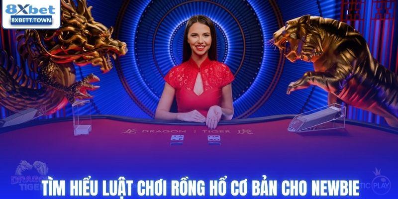 Tìm hiểu luật chơi rồng hổ cơ bản cho newbie