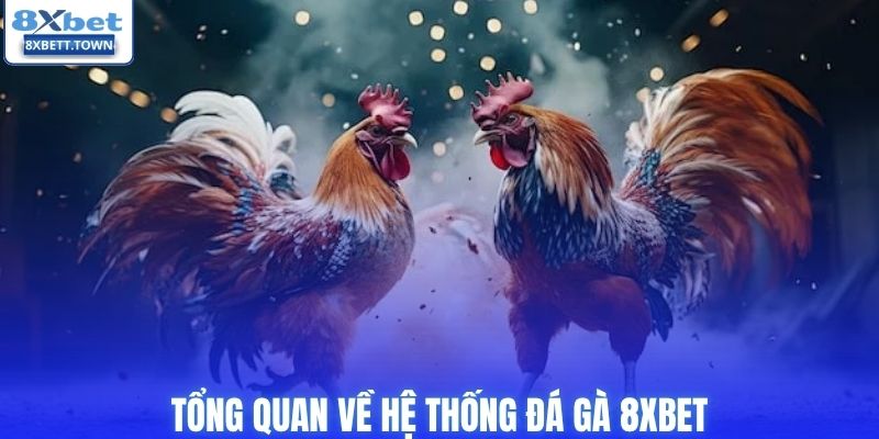Tổng quan về hệ thống đá gà 8XBET