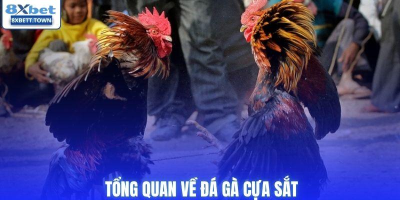 Tổng quan về đá gà cựa sắt
