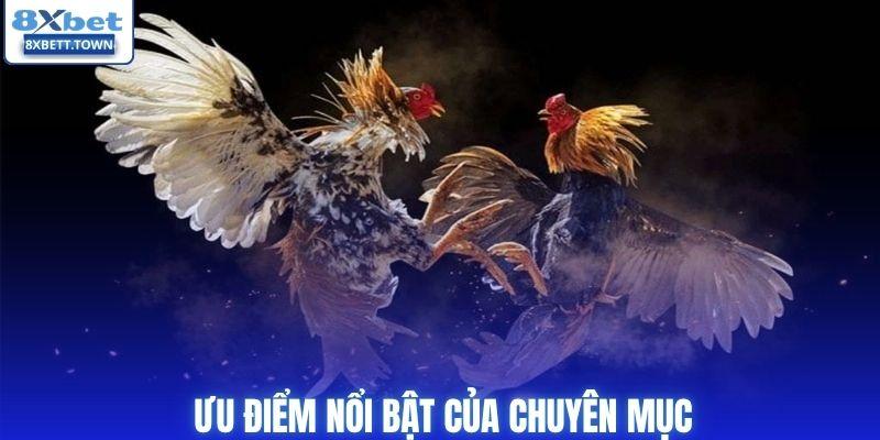 Ưu điểm nổi bật của chuyên mục
